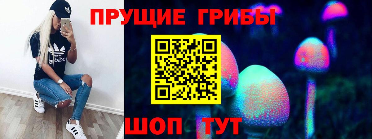 Псилоцибиновые грибы ЛСД Щёкино