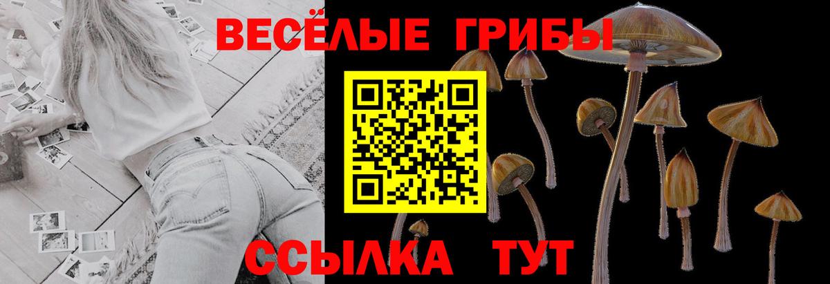 Щёкино  где найти   Вход с VPN  Галлюциногенные грибы Magic Shrooms 